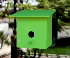 A woodworking plan for building four bird structures