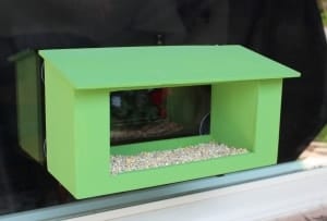 Feeder mounts on windows for watching birds