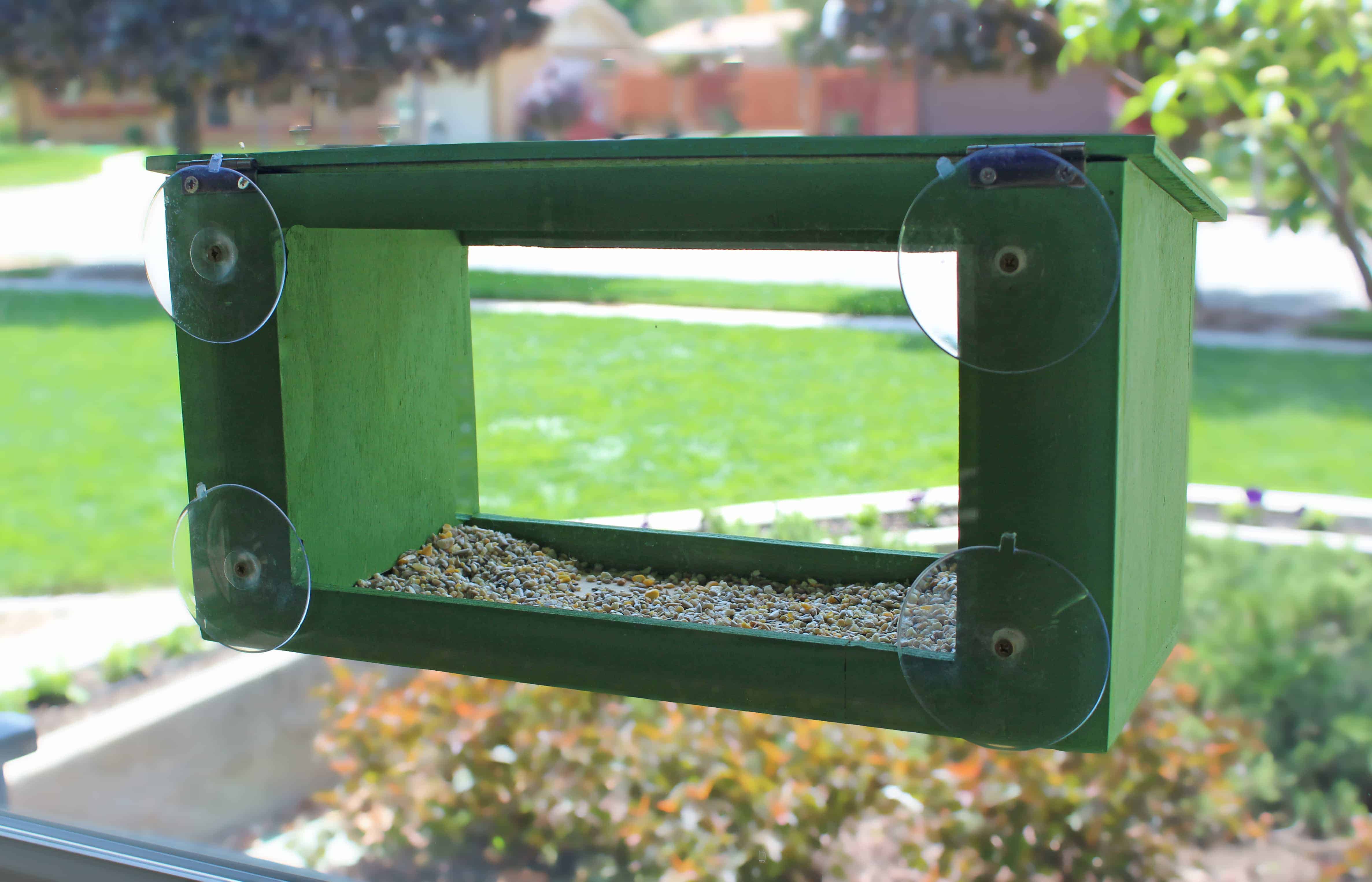 Window and Log Bird Houses and Feeders Forest Street Designs