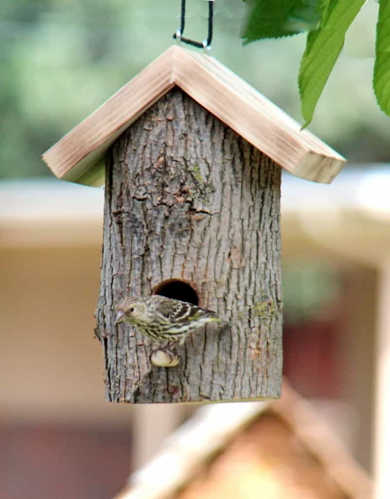 Window and Log Bird Houses and Feeders - Forest Street Designs