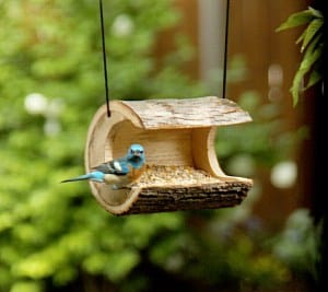 Woodworking plan for building four bird devices, Lazali Bunting shown