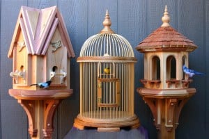 Woodworking plans to build a feeder, cage and house