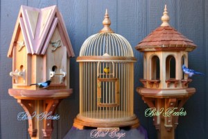 Full size woodworking patterns for building bird items