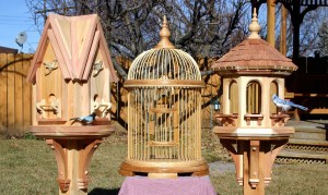 Woodworking plan for a bird house, bird feeder and bird cage