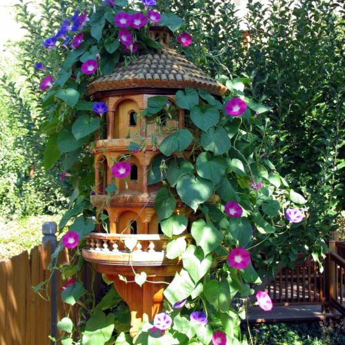 Woodworking plan with patterns for building the Italian Colony Birdhouse
