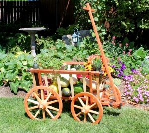 Garden Cart with fruit display woodworking plan